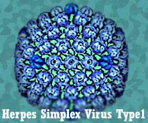 Illustration for article titled Cara Mengatasi Penyakit Herpes Menahun